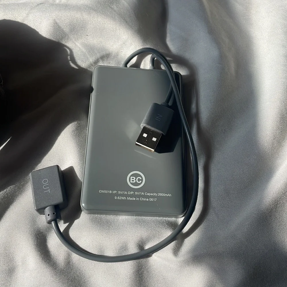 Banana Republic charger pouch